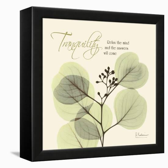 Tranquility Eucalyptus-Albert Koetsier-Framed Stretched Canvas