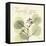 Tranquility Eucalyptus-Albert Koetsier-Framed Stretched Canvas