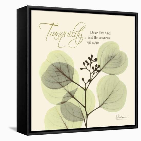 Tranquility Eucalyptus-Albert Koetsier-Framed Stretched Canvas