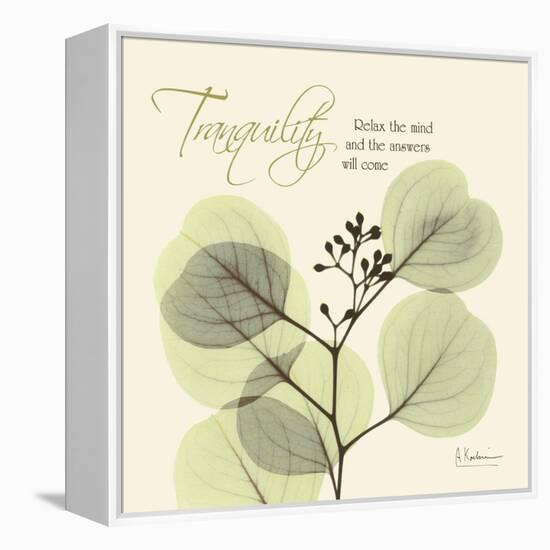 Tranquility Eucalyptus-Albert Koetsier-Framed Stretched Canvas