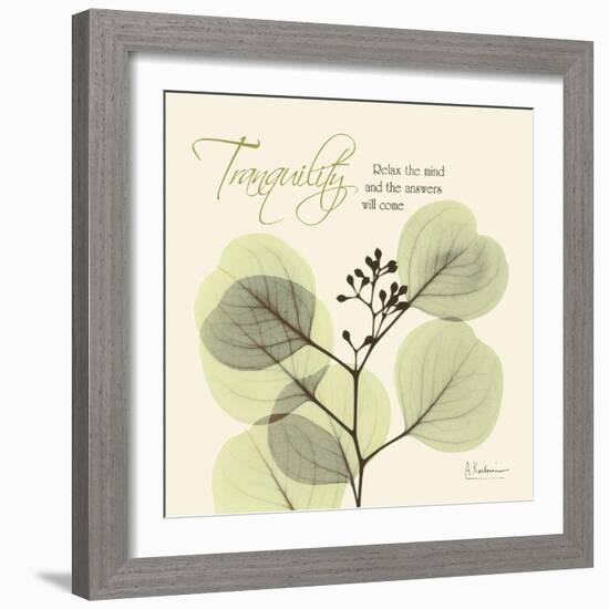 Tranquility Eucalyptus-Albert Koetsier-Framed Art Print