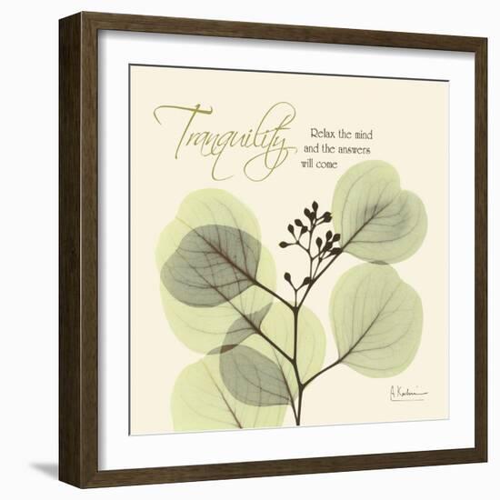 Tranquility Eucalyptus-Albert Koetsier-Framed Art Print