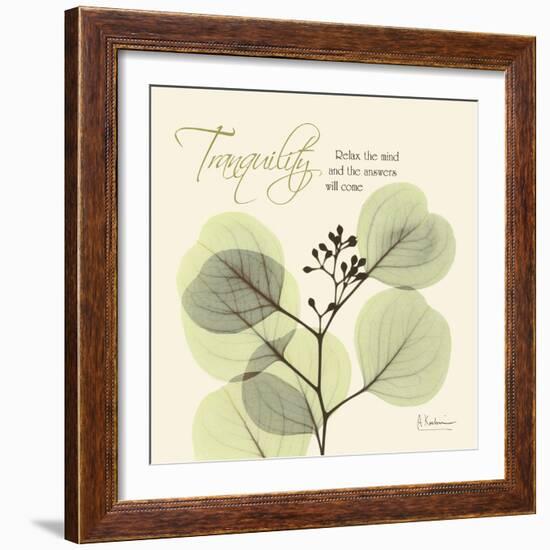 Tranquility Eucalyptus-Albert Koetsier-Framed Art Print