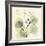 Tranquility Eucalyptus-Albert Koetsier-Framed Art Print