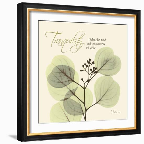 Tranquility Eucalyptus-Albert Koetsier-Framed Art Print