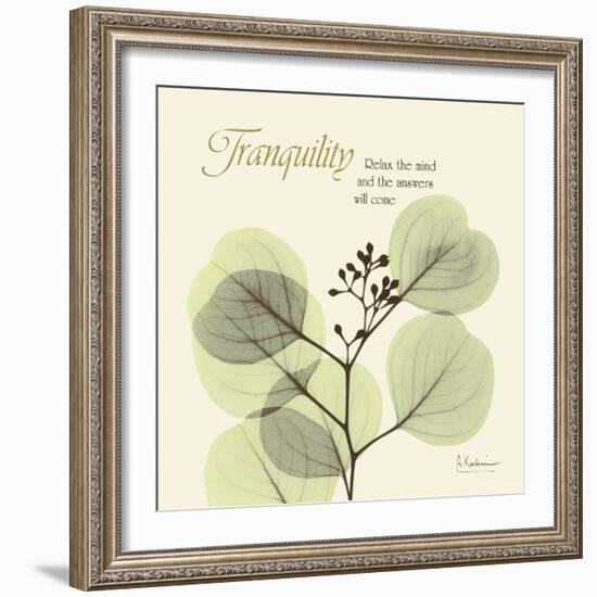 Tranquility Eucalyptus-Albert Koetsier-Framed Art Print