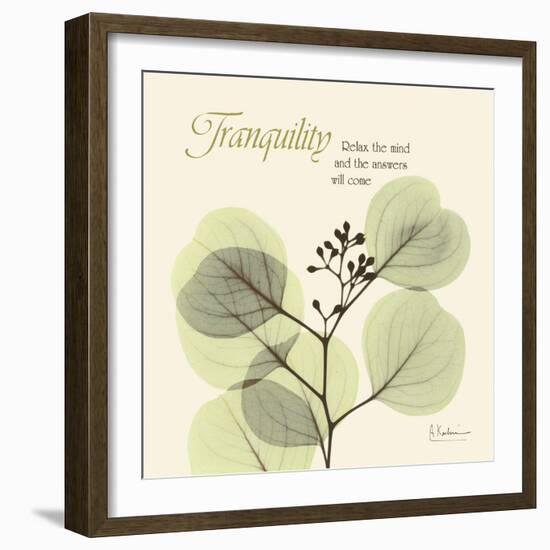 Tranquility Eucalyptus-Albert Koetsier-Framed Art Print