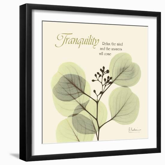 Tranquility Eucalyptus-Albert Koetsier-Framed Art Print