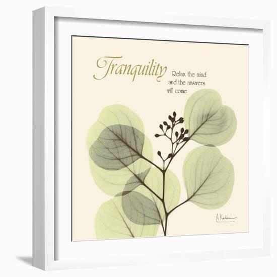 Tranquility Eucalyptus-Albert Koetsier-Framed Art Print