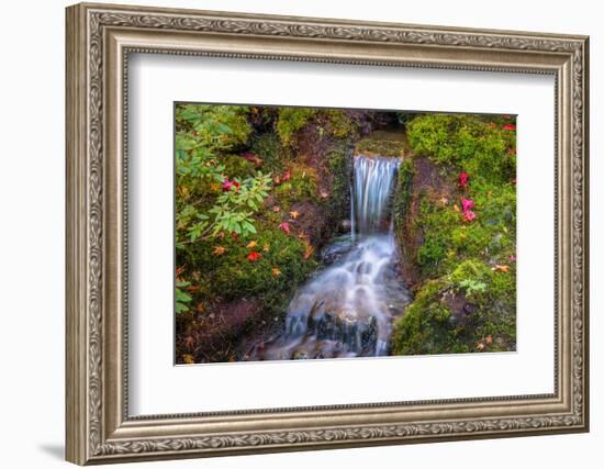 Tranquility Falls-Tim Oldford-Framed Photographic Print