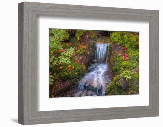 Tranquility Falls-Tim Oldford-Framed Photographic Print