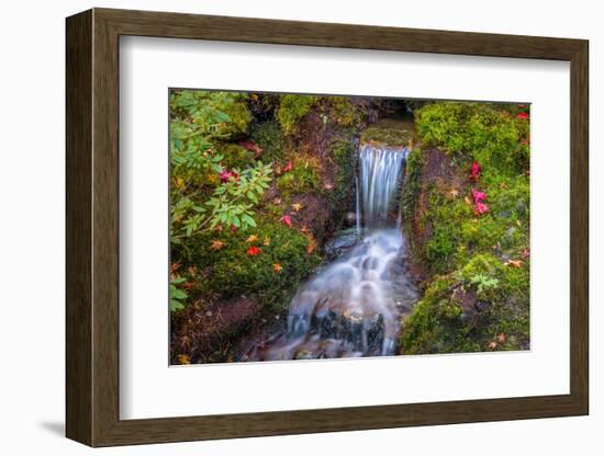 Tranquility Falls-Tim Oldford-Framed Photographic Print