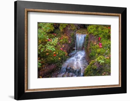 Tranquility Falls-Tim Oldford-Framed Photographic Print