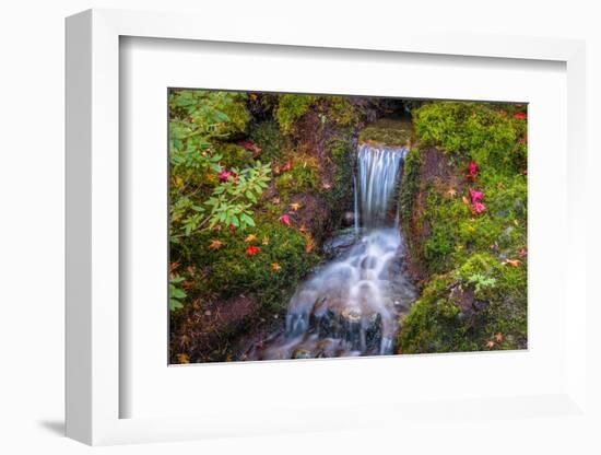 Tranquility Falls-Tim Oldford-Framed Photographic Print