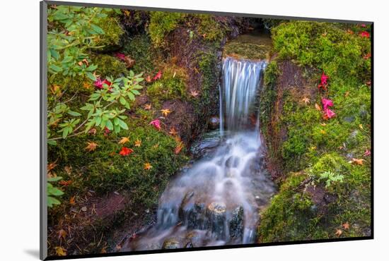 Tranquility Falls-Tim Oldford-Mounted Photographic Print