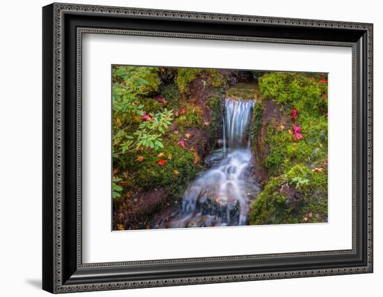 Tranquility Falls-Tim Oldford-Framed Photographic Print