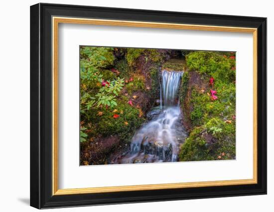 Tranquility Falls-Tim Oldford-Framed Photographic Print