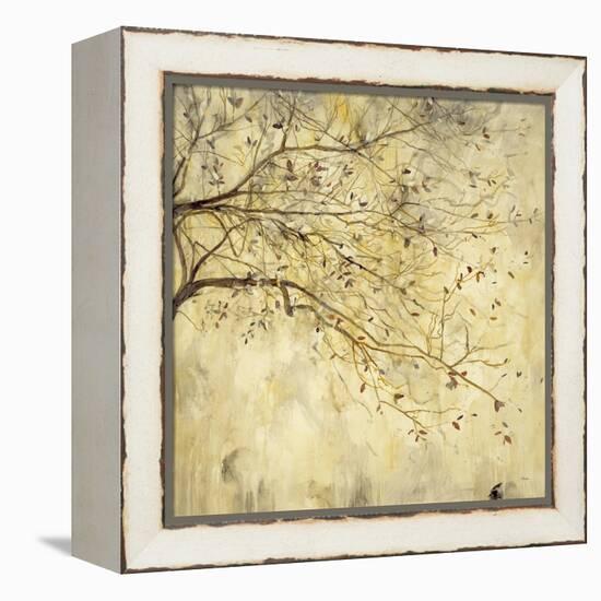 Tranquility I-Randy Hibberd-Framed Stretched Canvas