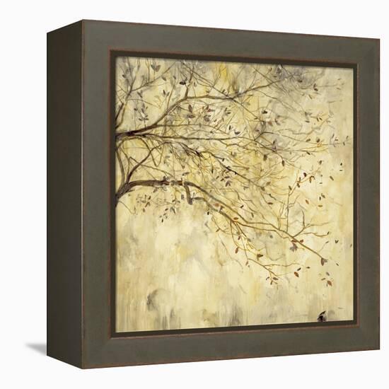 Tranquility I-Randy Hibberd-Framed Stretched Canvas