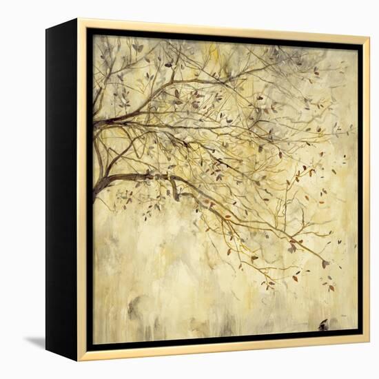 Tranquility I-Randy Hibberd-Framed Stretched Canvas