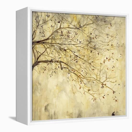 Tranquility I-Randy Hibberd-Framed Stretched Canvas