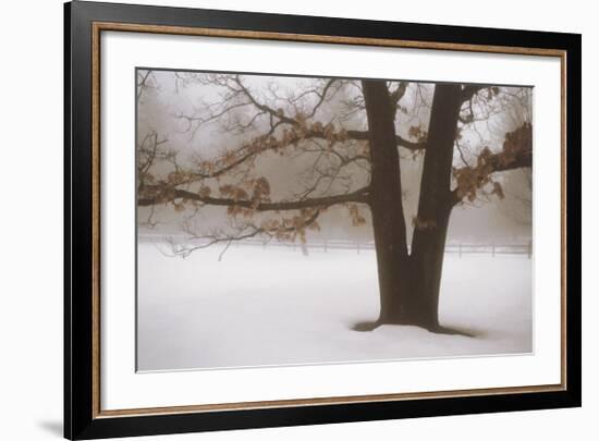 Tranquility-David Winston-Framed Art Print