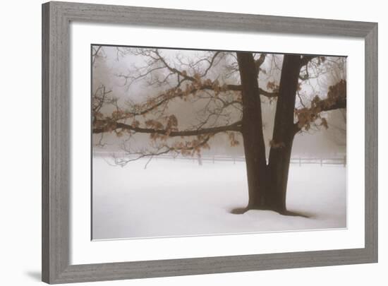 Tranquility-David Winston-Framed Art Print