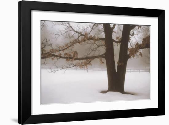 Tranquility-David Winston-Framed Art Print