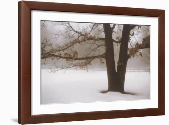 Tranquility-David Winston-Framed Art Print