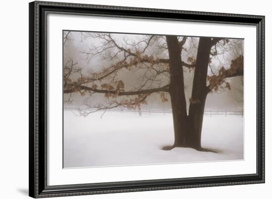 Tranquility-David Winston-Framed Art Print