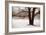 Tranquility-David Winston-Framed Giclee Print