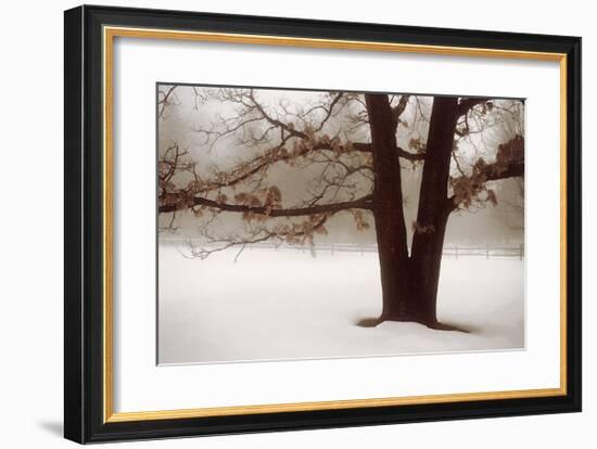 Tranquility-David Winston-Framed Giclee Print