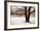 Tranquility-David Winston-Framed Giclee Print