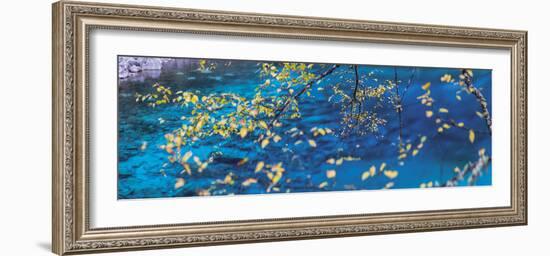 Tranquility-Peter Adams-Framed Giclee Print