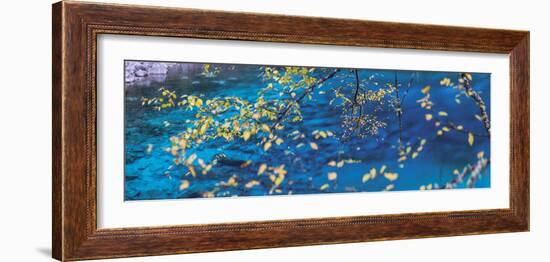 Tranquility-Peter Adams-Framed Giclee Print