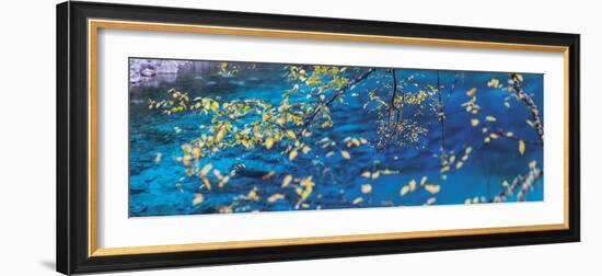 Tranquility-Peter Adams-Framed Giclee Print