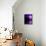 Tranquility-Julie Fain-Framed Stretched Canvas displayed on a wall