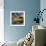 Tranquillity-Thorsteinn H.-Framed Photographic Print displayed on a wall