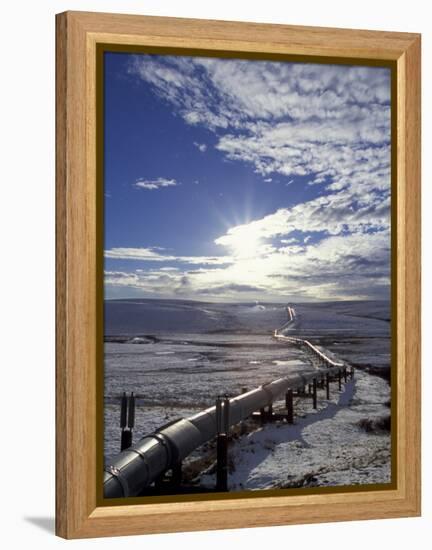 Trans-Alaska Pipeline in Winter, North Slope of the Brooks Range, Alaska, USA-Hugh Rose-Framed Premier Image Canvas