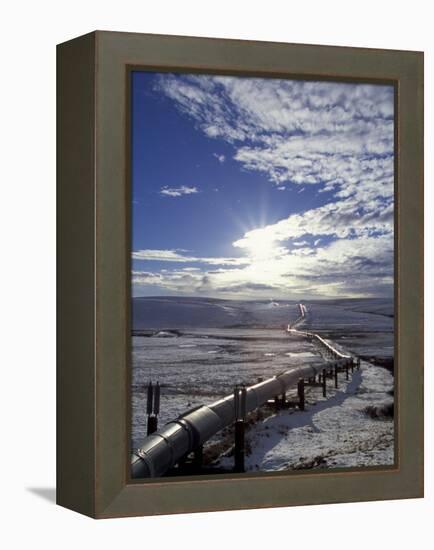Trans-Alaska Pipeline in Winter, North Slope of the Brooks Range, Alaska, USA-Hugh Rose-Framed Premier Image Canvas