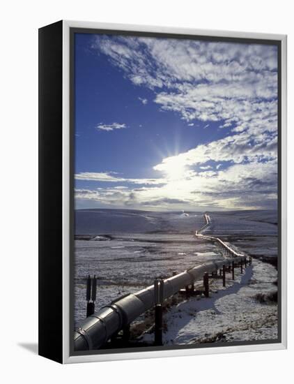 Trans-Alaska Pipeline in Winter, North Slope of the Brooks Range, Alaska, USA-Hugh Rose-Framed Premier Image Canvas