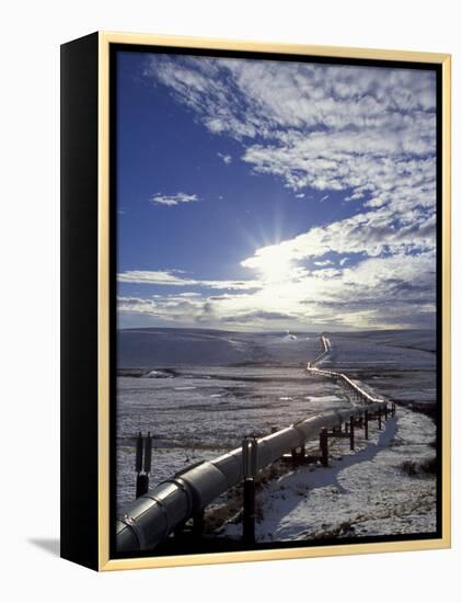 Trans-Alaska Pipeline in Winter, North Slope of the Brooks Range, Alaska, USA-Hugh Rose-Framed Premier Image Canvas