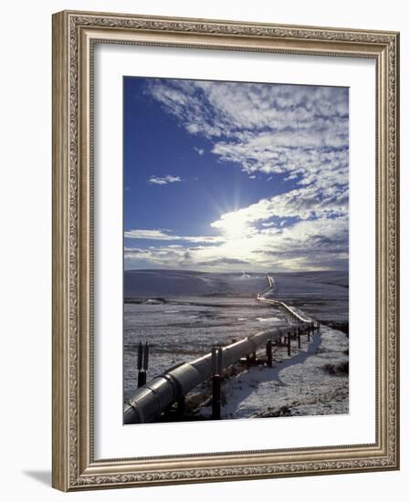 Trans-Alaska Pipeline in Winter, North Slope of the Brooks Range, Alaska, USA-Hugh Rose-Framed Photographic Print