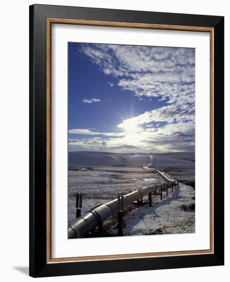 Trans-Alaska Pipeline in Winter, North Slope of the Brooks Range, Alaska, USA-Hugh Rose-Framed Photographic Print