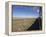 Trans-Mongolian Train Travelling Through the Gobi Desert En Route to Ulaan Baatar, Mongolia-Andrew Mcconnell-Framed Premier Image Canvas