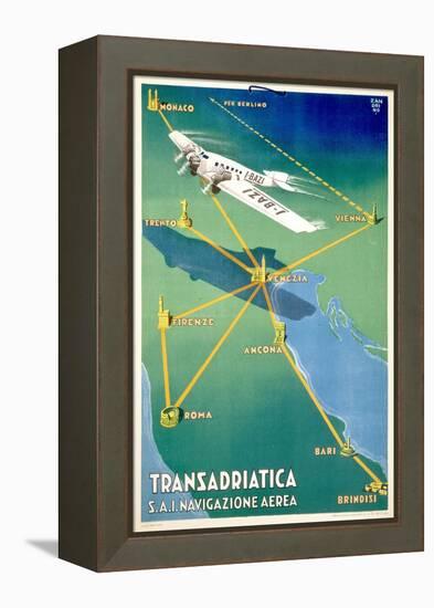 Transadricatica-null-Framed Stretched Canvas
