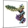 Transcription Factor Complexed with DNA-Laguna Design-Mounted Premium Photographic Print