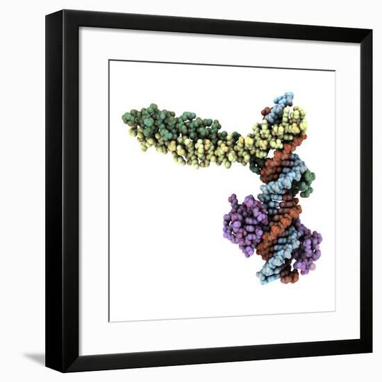 Transcription Factor Complexed with DNA-Laguna Design-Framed Photographic Print