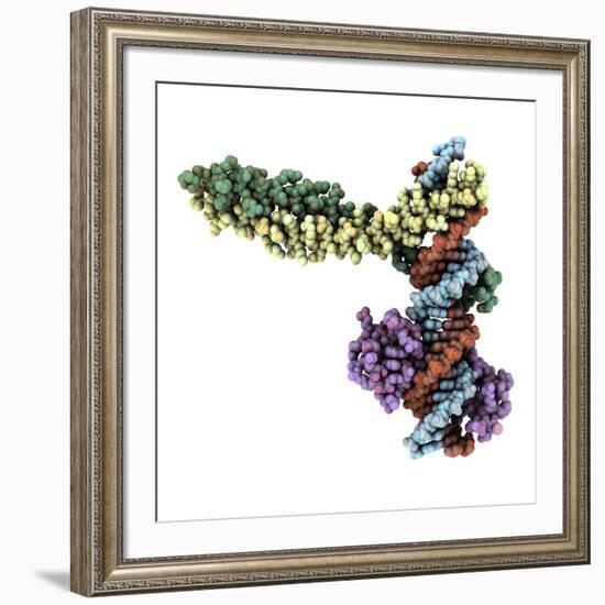 Transcription Factor Complexed with DNA-Laguna Design-Framed Photographic Print