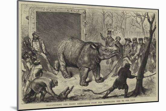 Transferring the Hairy Rhinoceros from Her Travelling Den to Her Cage-Ernest Henry Griset-Mounted Giclee Print